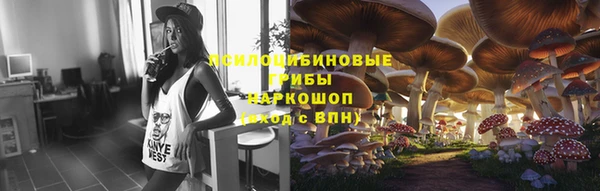твердый Верея