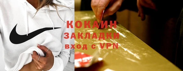 сатива Инта